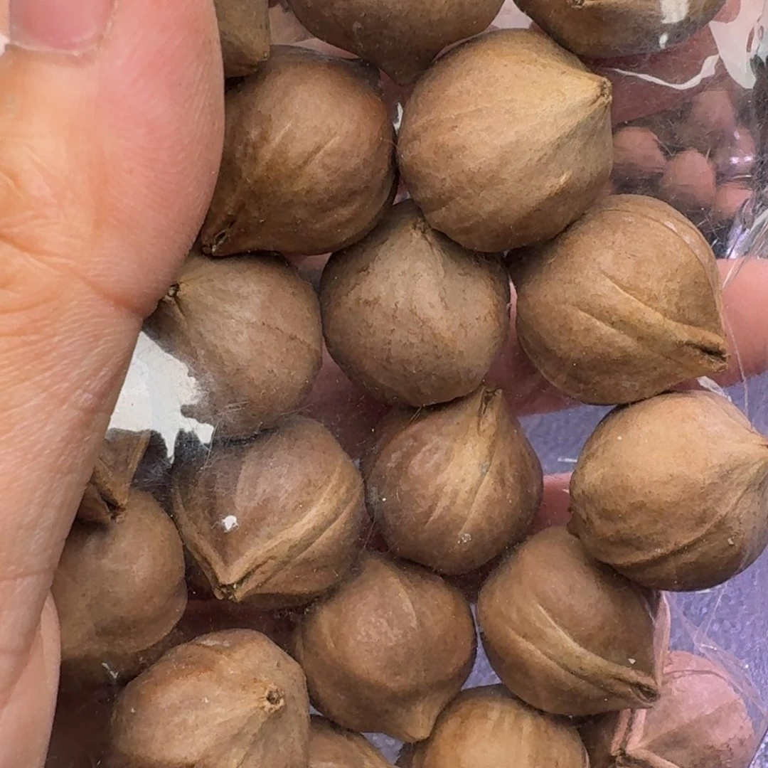 行***鱼手串/手链橄榄核1
