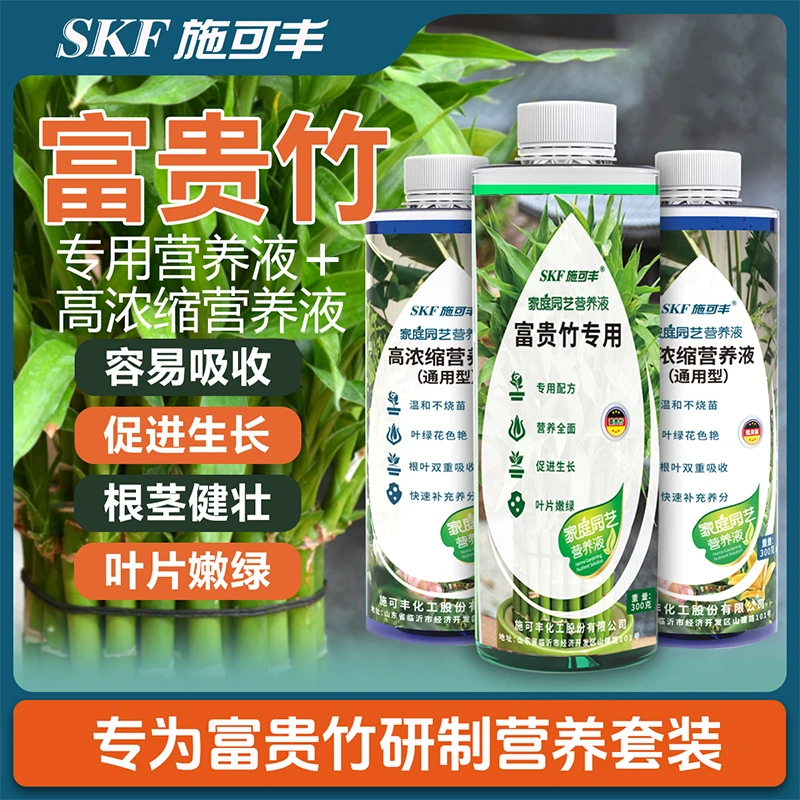 富贵竹专用营养液发财竹观音竹水培植物铜钱草绿植盆栽养花肥料