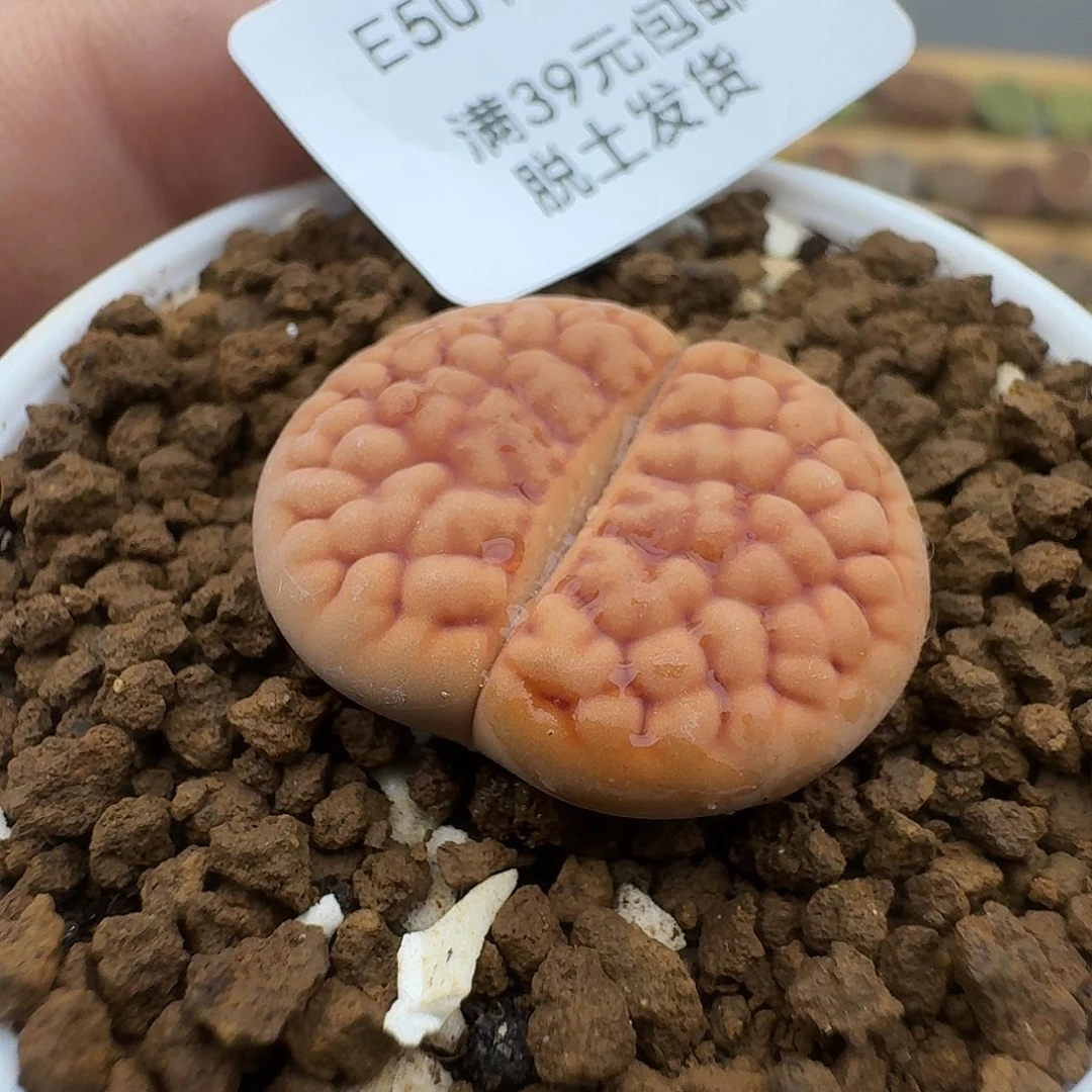 501哈哈哈哈哈哈哈哈哈哈