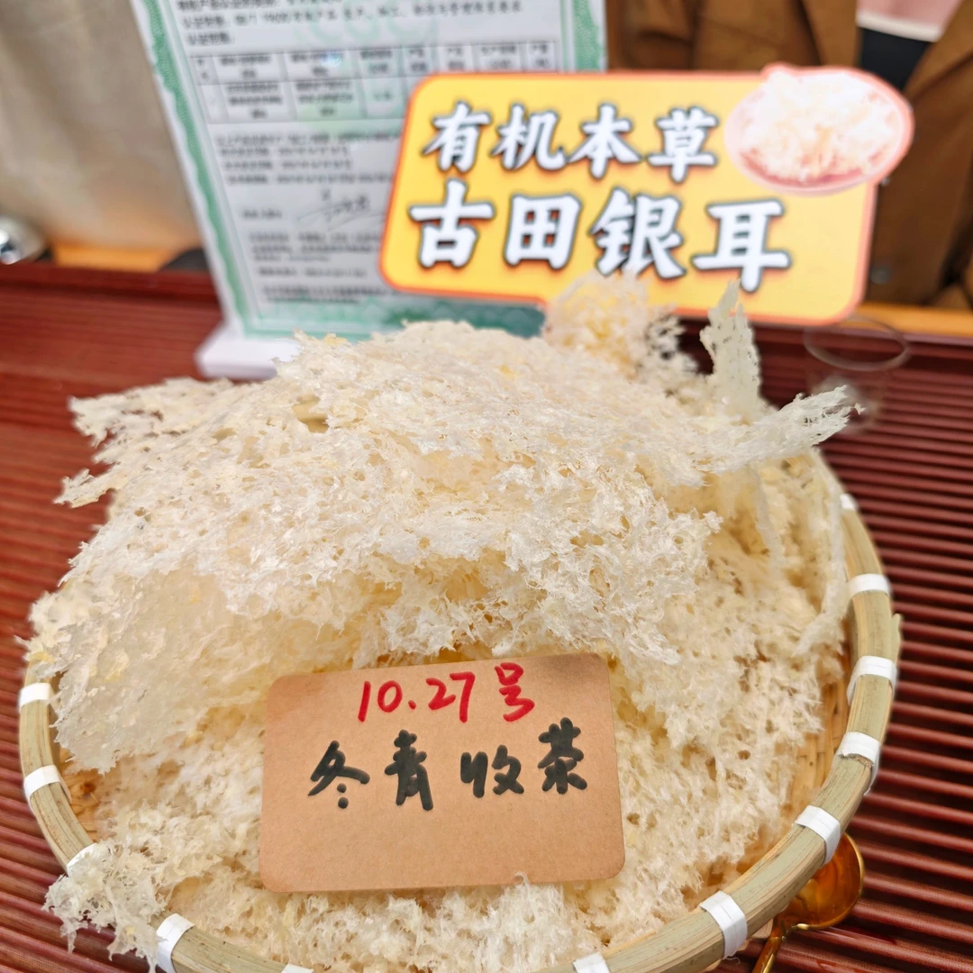 有机本草古田银耳 只取耳瓣精华 免煮免泡 胶质感十足 冬青收茶