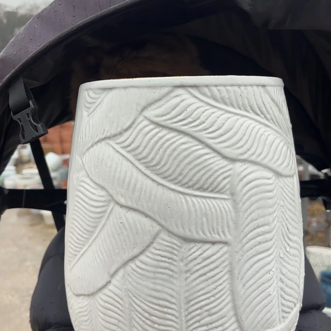 口径21高31一个白芭蕉叶