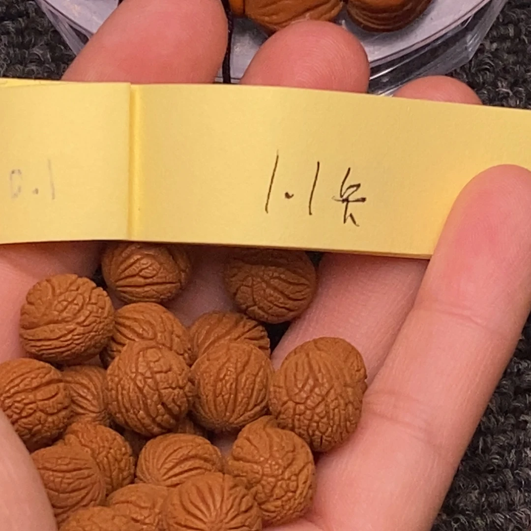 秦岭山脉龙纹桃核 21