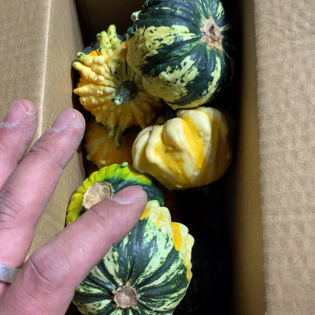 老*墨西哥十吧！！！！！