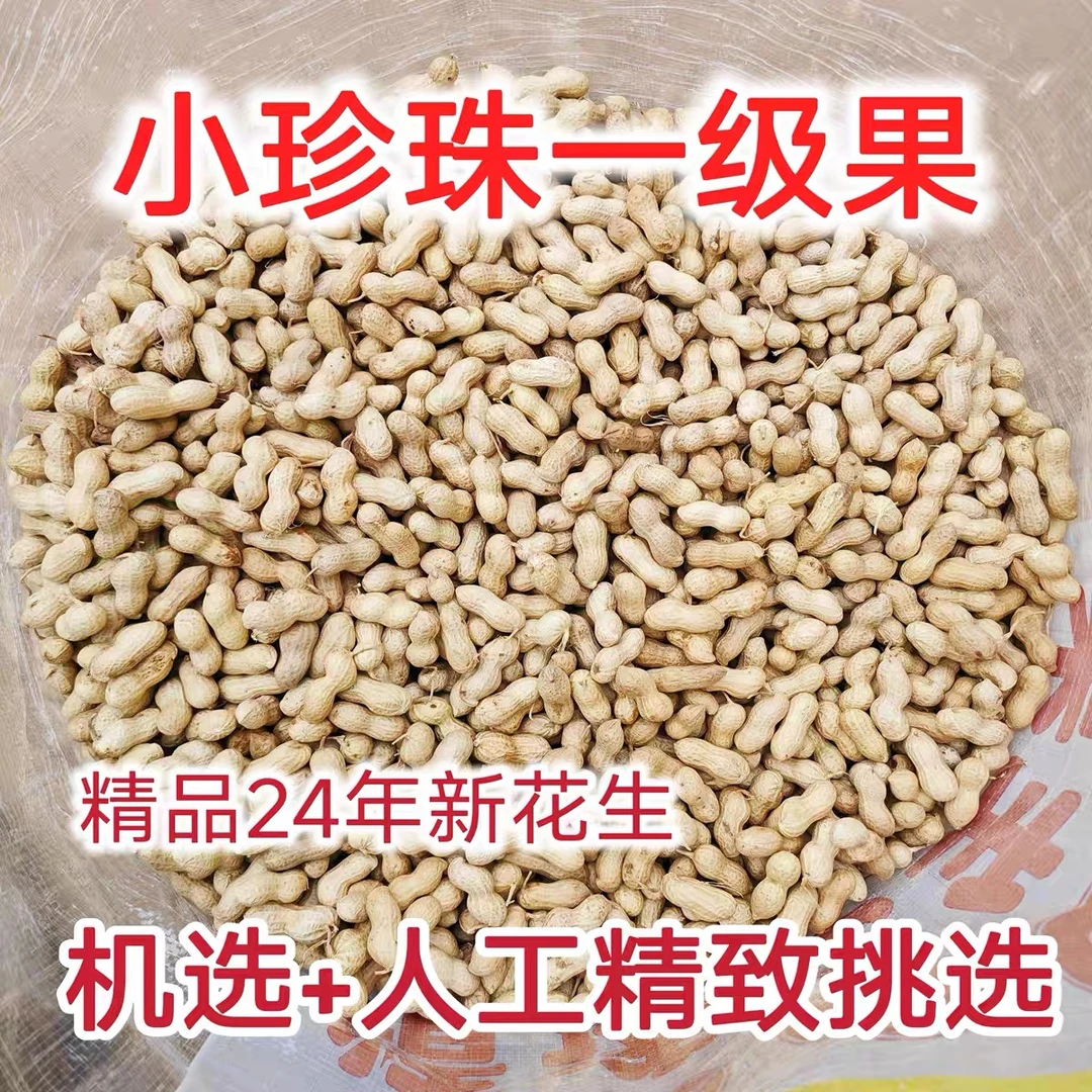 【现货顺丰次日达】龙岩花生小珍珠蒜香味带壳熟新鲜福建特产送礼佳品咸干休闲零食品2024新货 500g/1000g