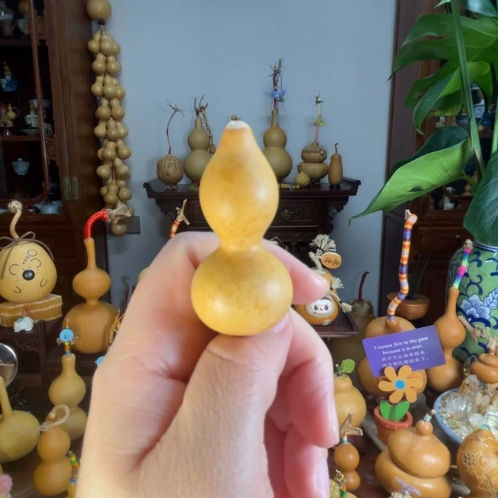 绕指柔葫芦微花叶皮色