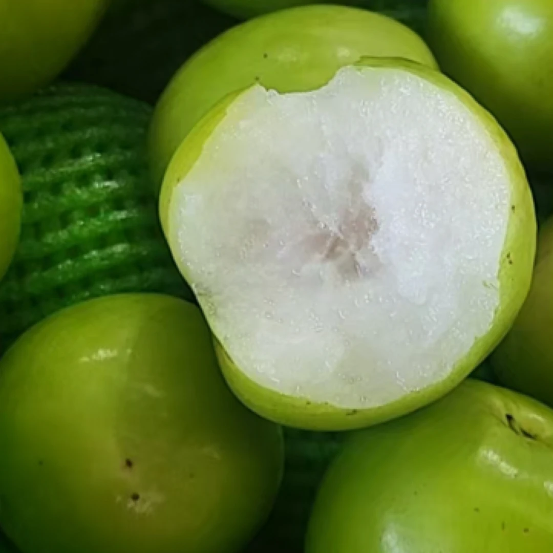 【六妈推荐】云南空运脆蜜 香甜清香脆爽 1件3.5斤起 辽宁发货