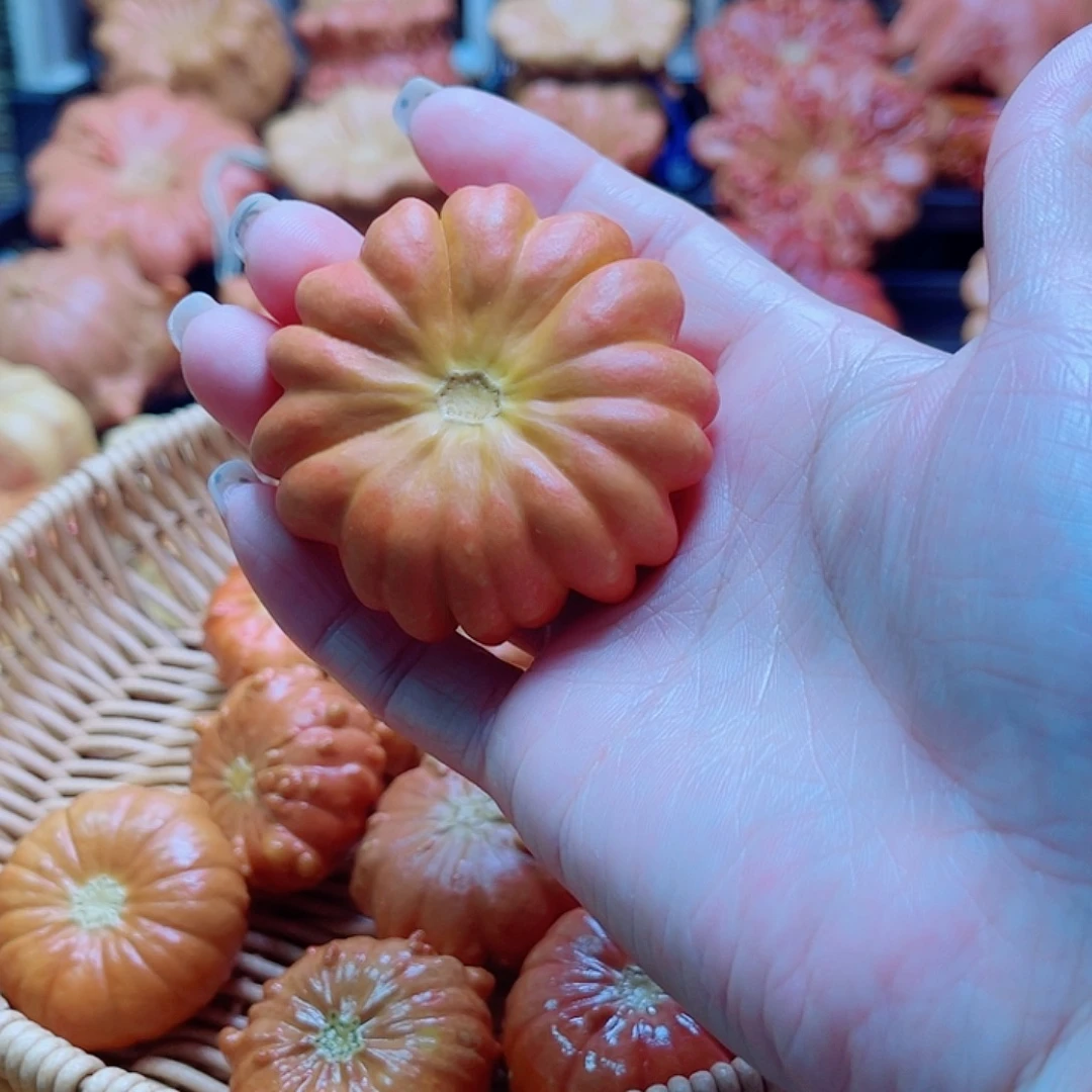****蜜陶瓷墨西哥葫芦可盘可摆微瑕