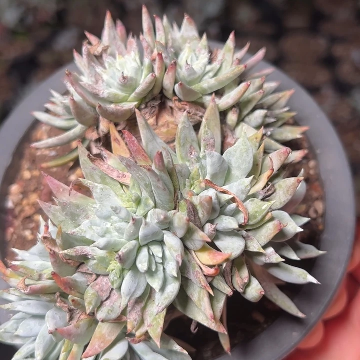 840哈哈哈哈哈哈哈哈