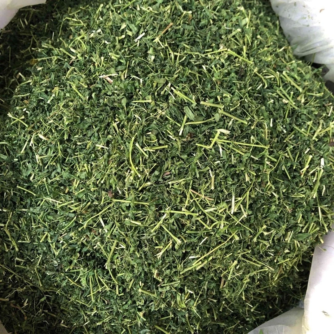 【丽掌柜】潮汕油柑茶60g