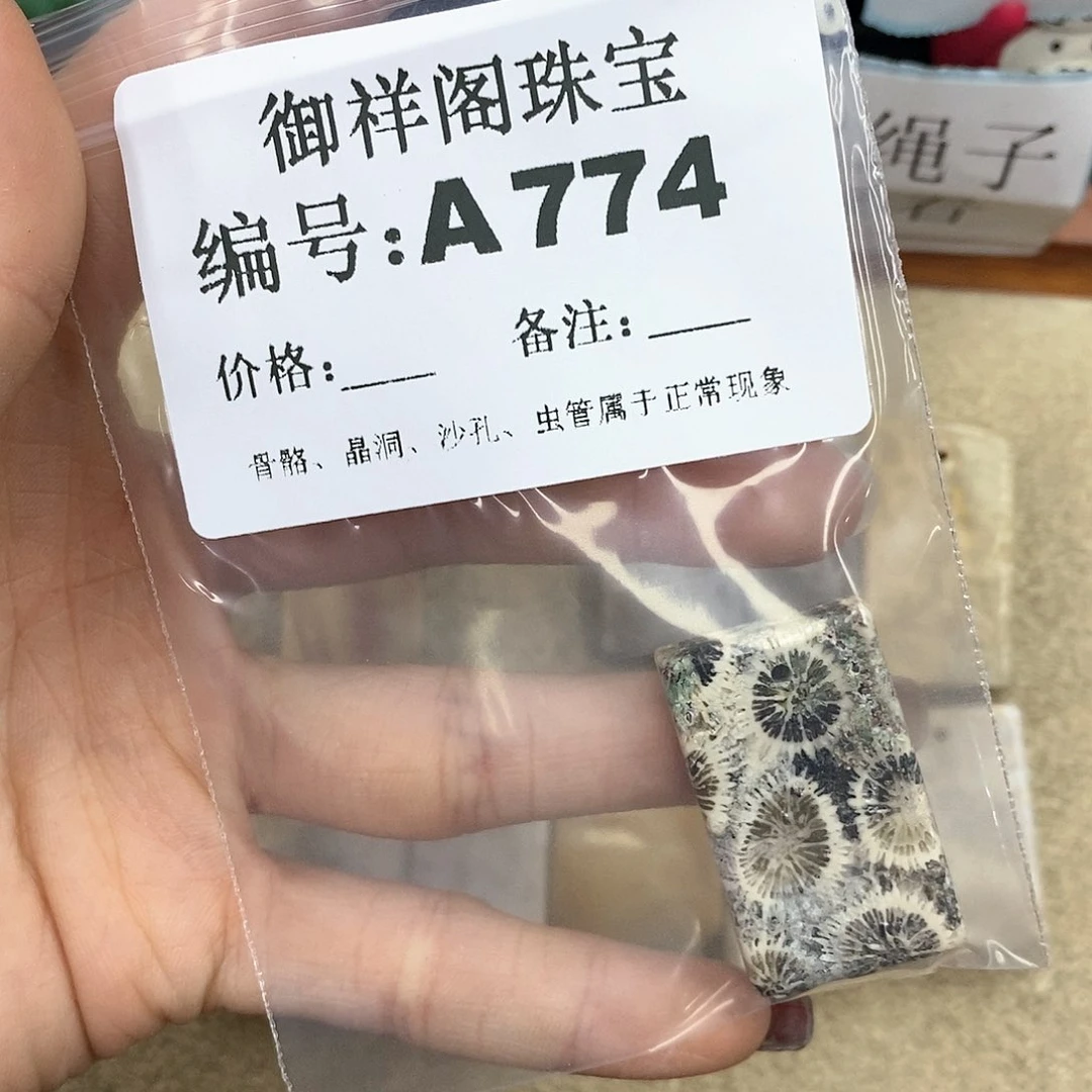 硅化珊瑚（珊瑚玉）A未镶嵌i*