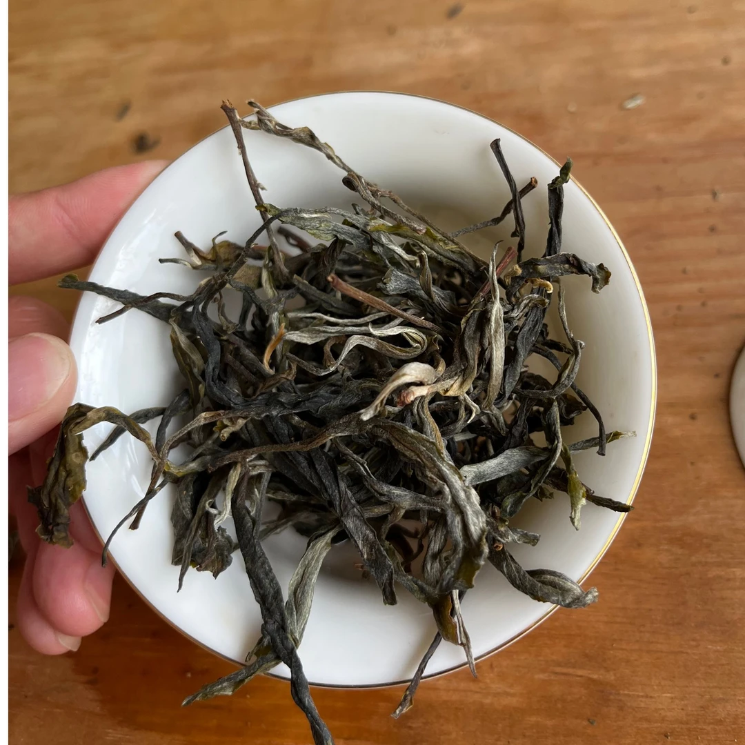 2025年冰岛南迫乔木普洱茶生茶散茶云南普洱茶