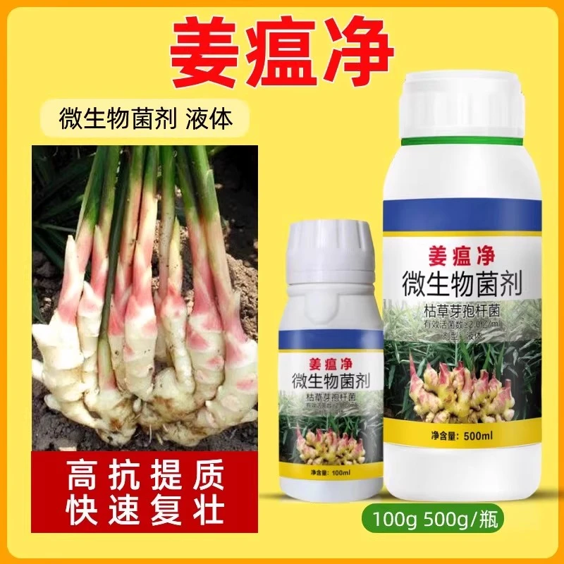 大姜农用姜瘟净提质预防治疗青枯叶枯卷叶干尖黄叶病水溶肥料
