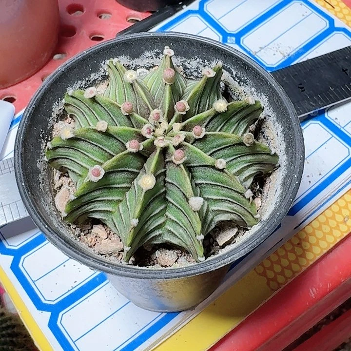 晓*.哈哈哈哈哈哈哈哈哈