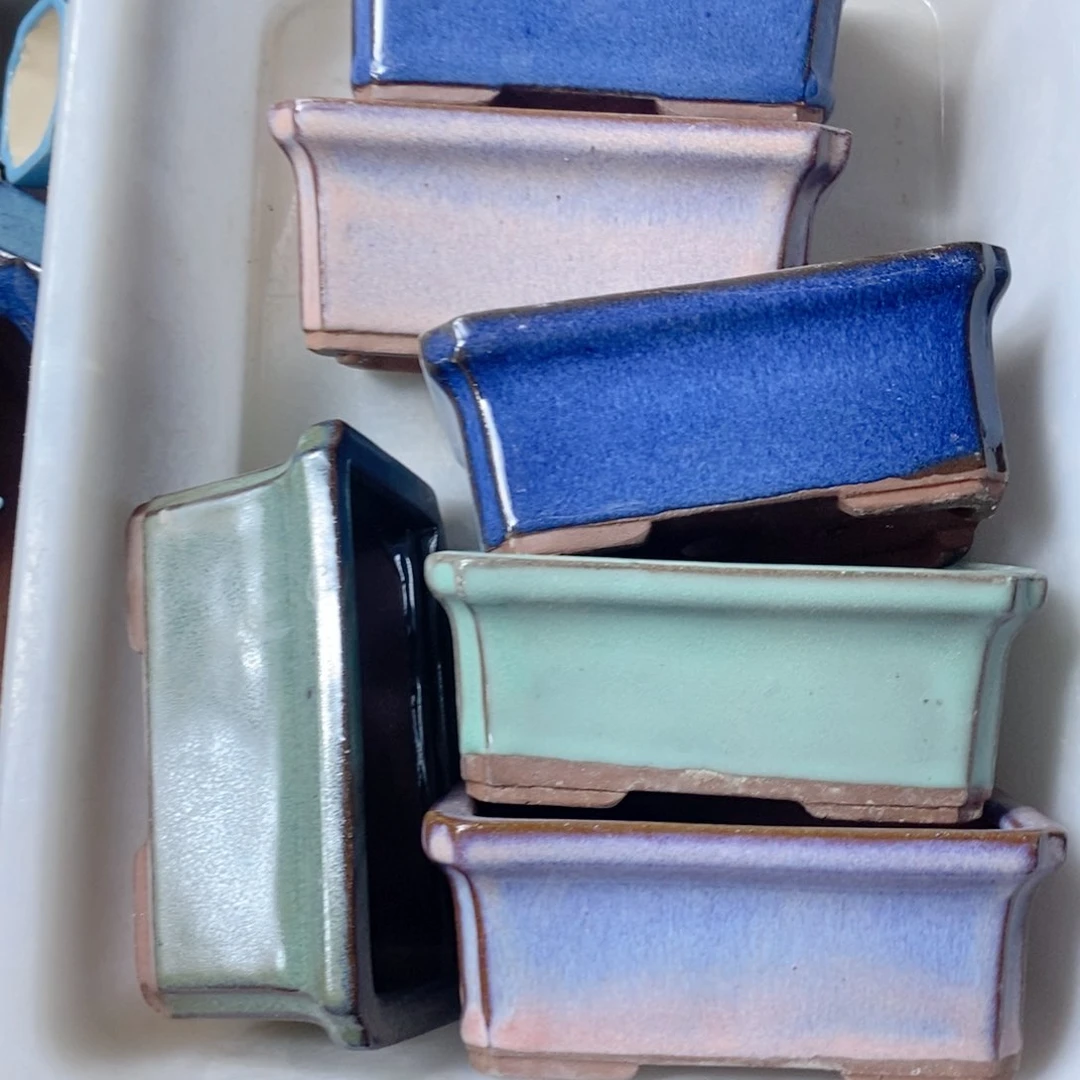 红陶M****m睡觉就接受将计就计