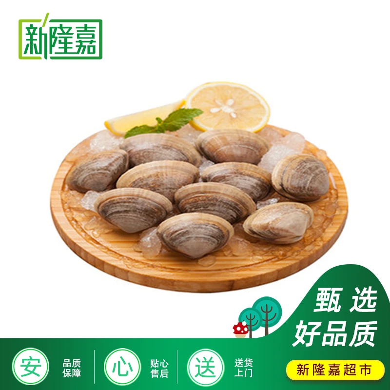 吐沙蚬子贝类 黄蚬子 产地直发500g/4斤