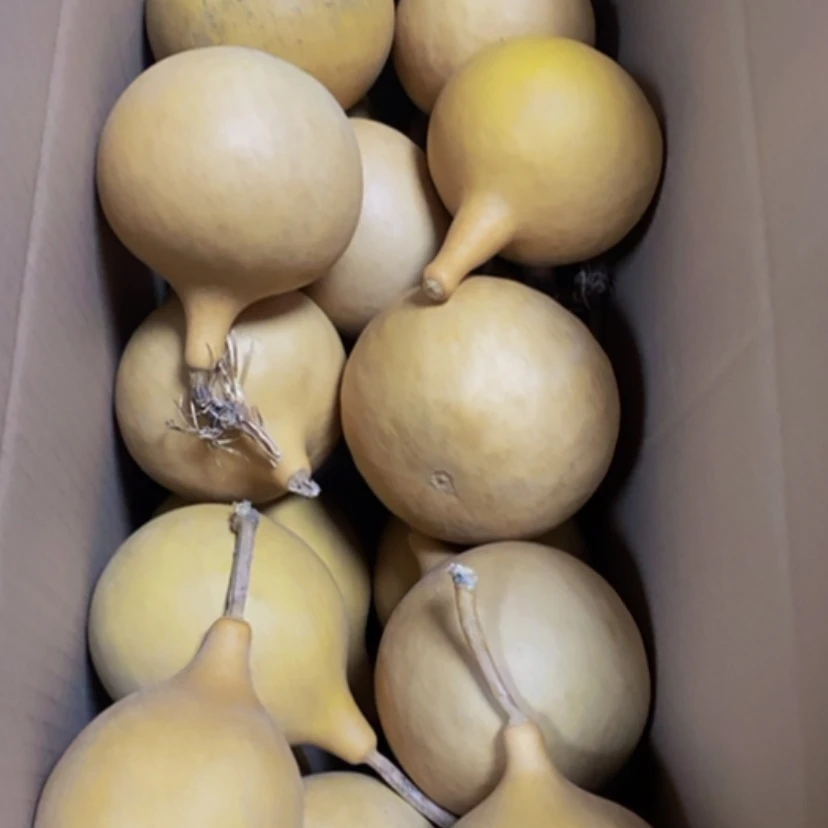 【闪购商品】二十个大苹果60块钱