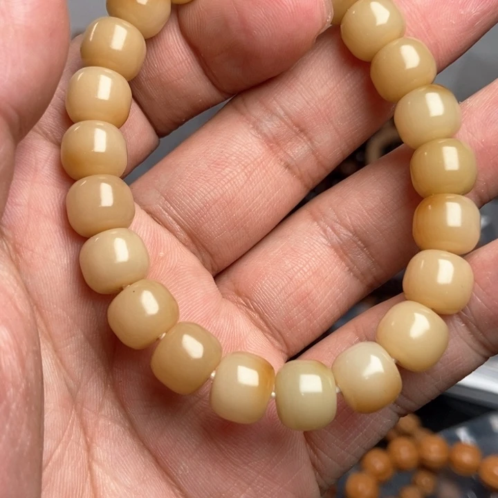 菩提根/象牙果吊坠今天