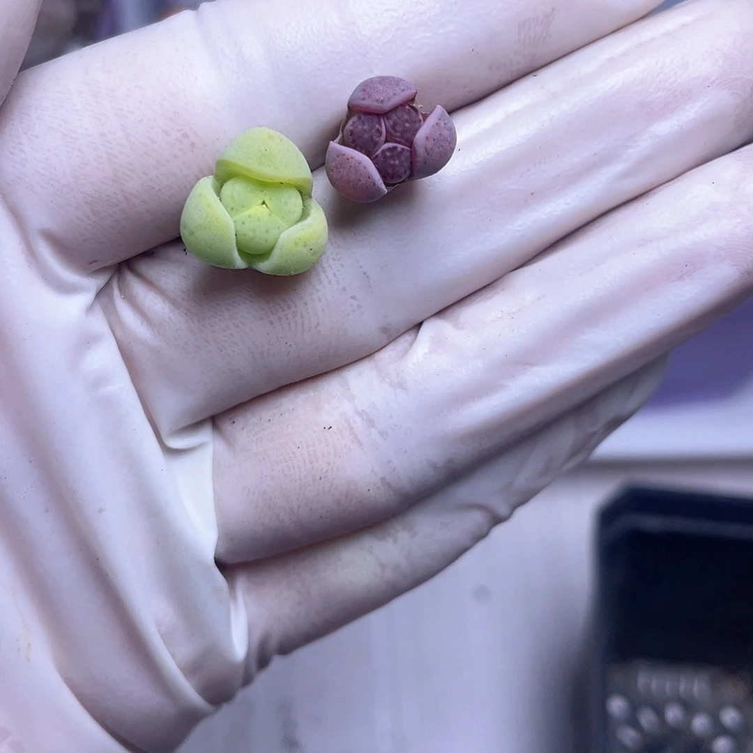 711 奔奔……………………