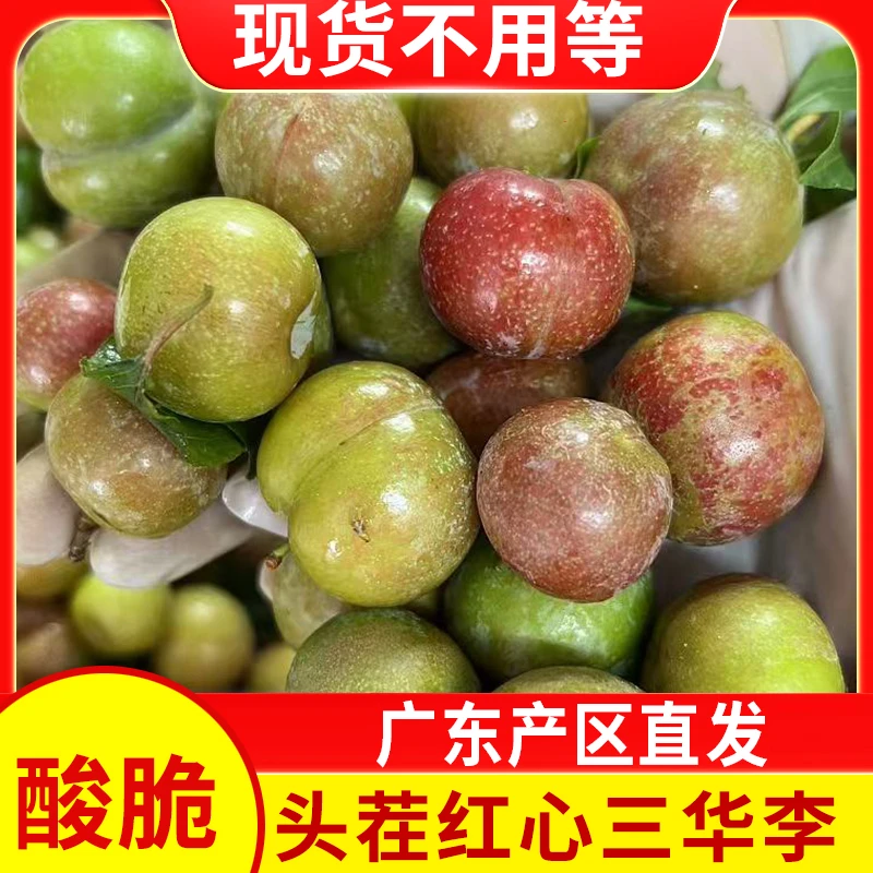 【现货】广东三华李红心李酸涩爽脆李子新鲜当季应季水果早红心李子