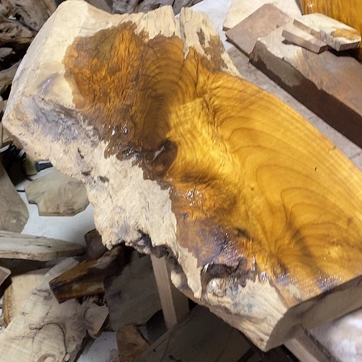 小***贝金丝楠木小叶桢楠木