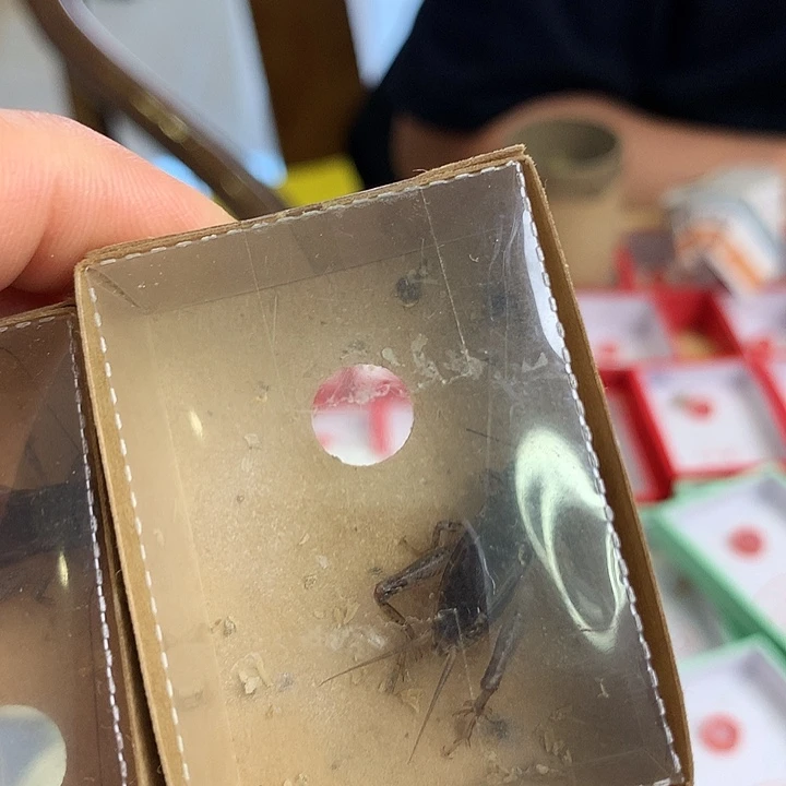 哈哈哈哈哈哈哈哈哈哈哈哈哈