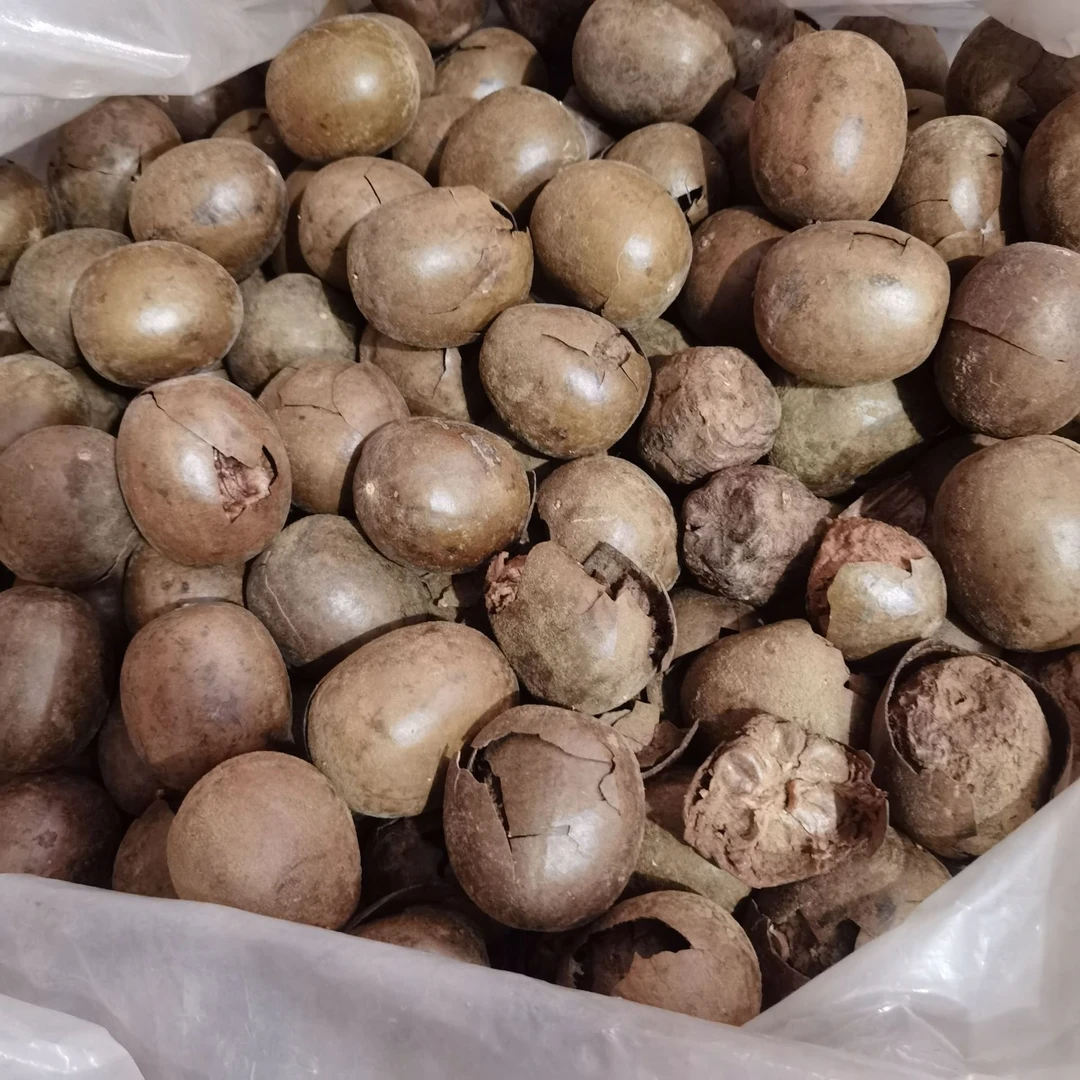 广西桂林特产罗汉果干果破果新鲜散装