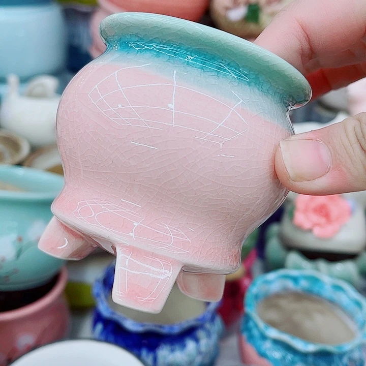 多肉植物陶瓷花盆