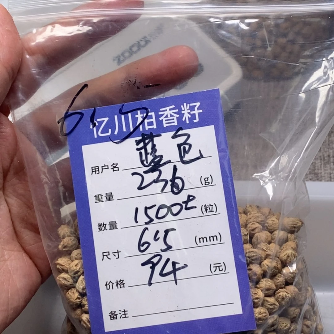 柏香籽/百香籽吊坠蓝**雷