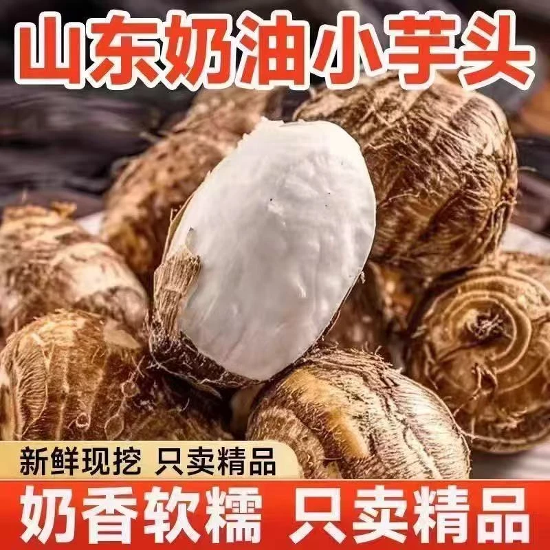 【带箱五斤】山东新鲜牛奶小芋头农家自种香甜软糯应季现挖香芋