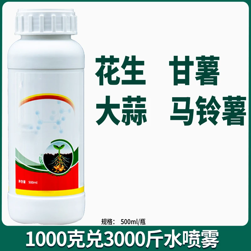 花生甘薯大蒜马铃薯地下根茎肥