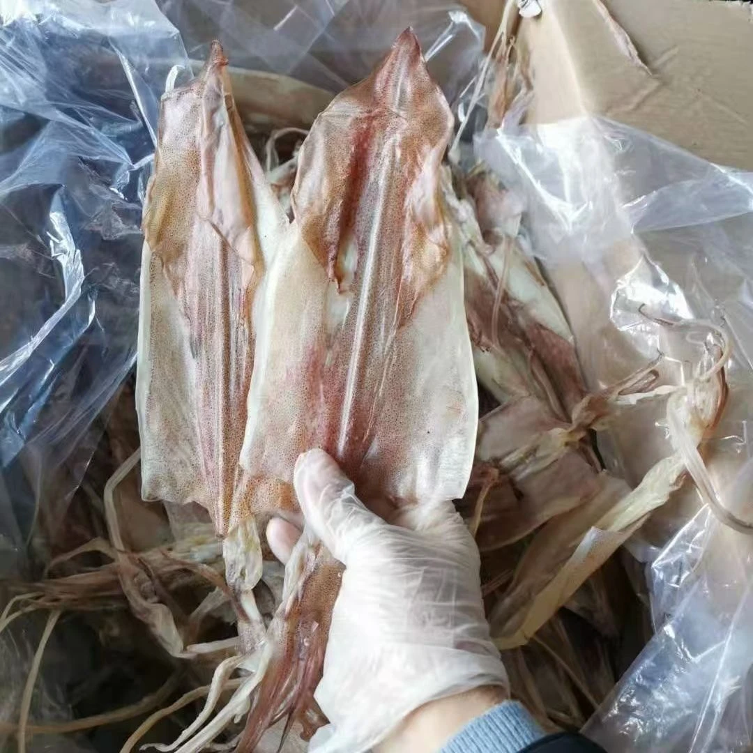 本港潮汕湿鱿鱼南澳湿鱿鱼
