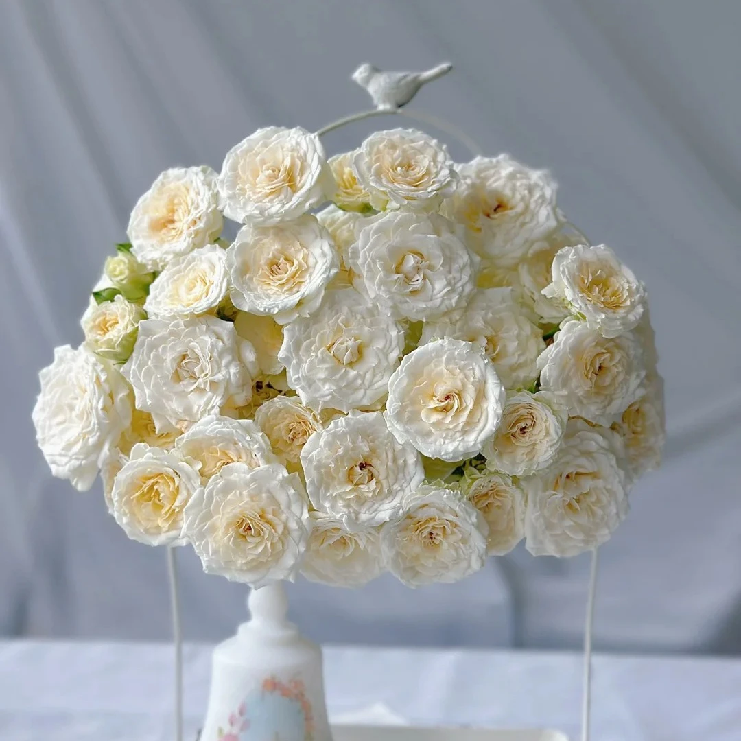 【花之物语】白色LUV多头玫瑰 包邮