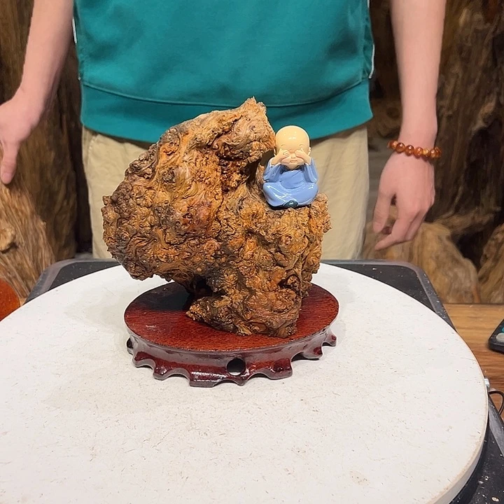 松木（琥珀木）瑞***^