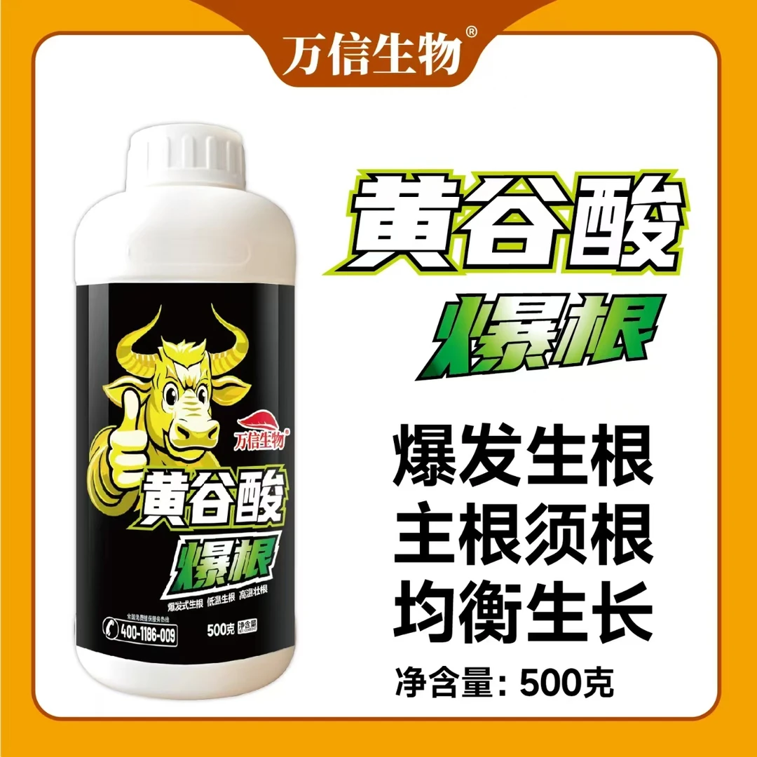黄谷酸生根壮苗爆根叶面肥冲施肥植物通用