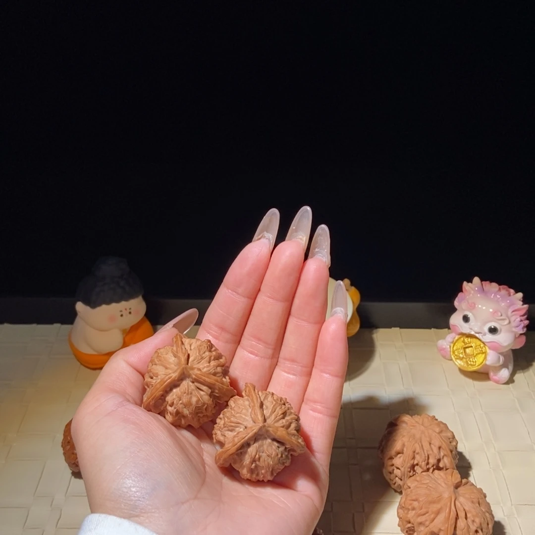 菩提籽类盘山36 188