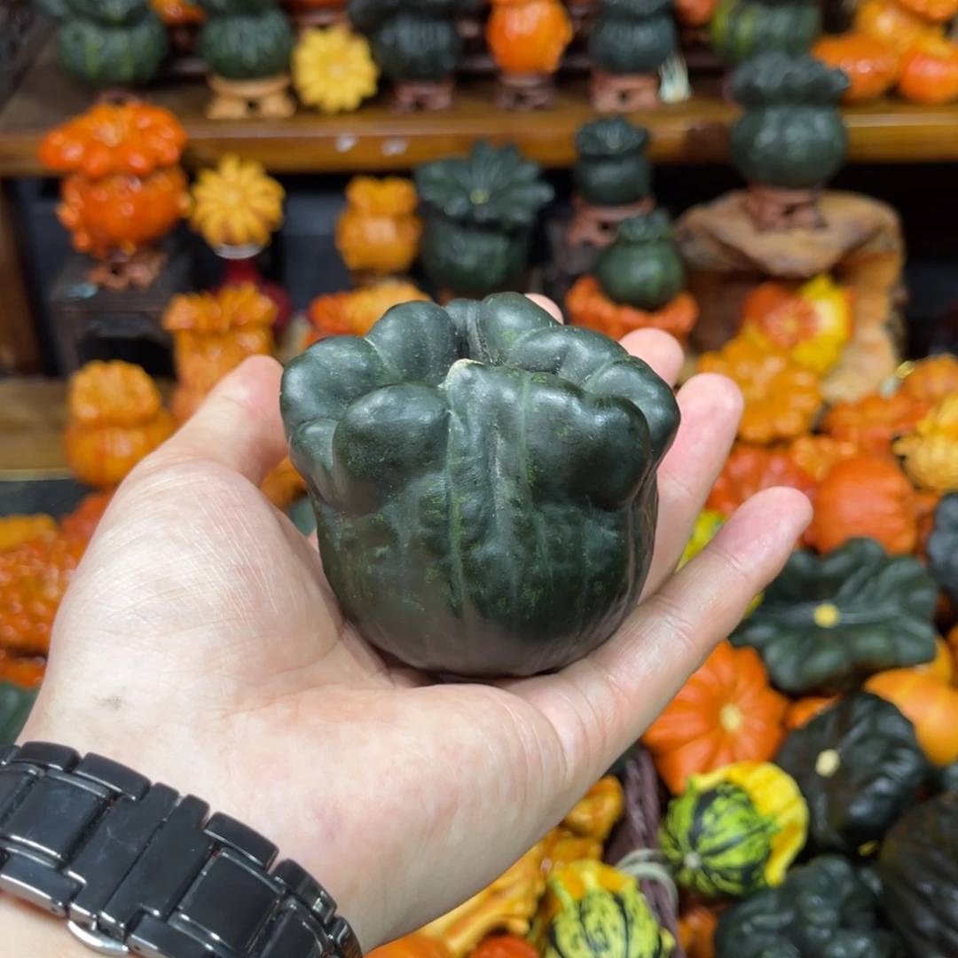 b**n葫芦葫芦葫芦厉害厉害葫芦