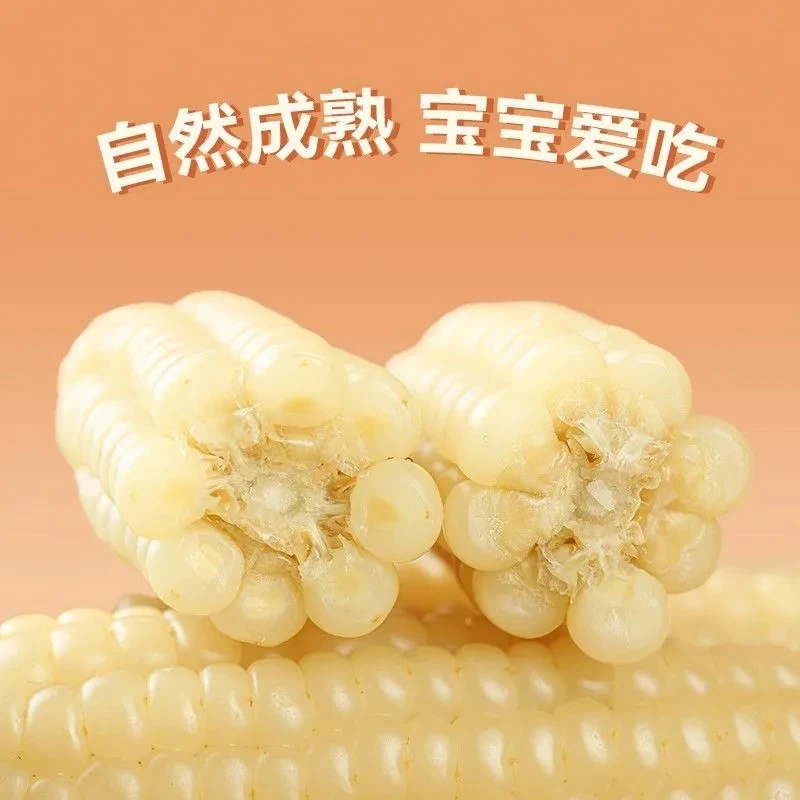 西双版纳香糯小拇指玉米非转基因新鲜白糯玉 米棒孕妇蔬菜健康