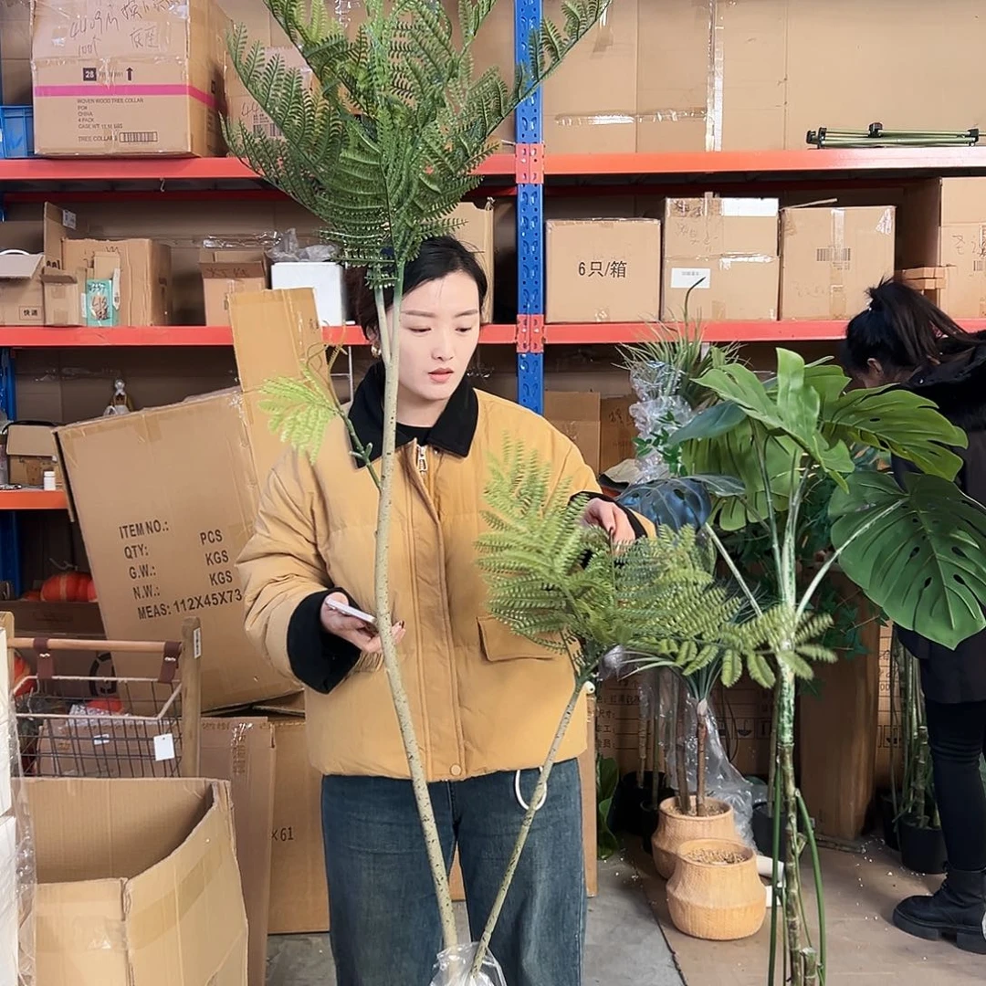 抖音直播瑕疵一颗蕨