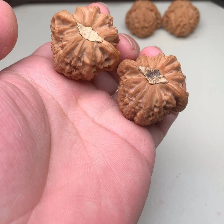吊坠文玩核桃白狮子39