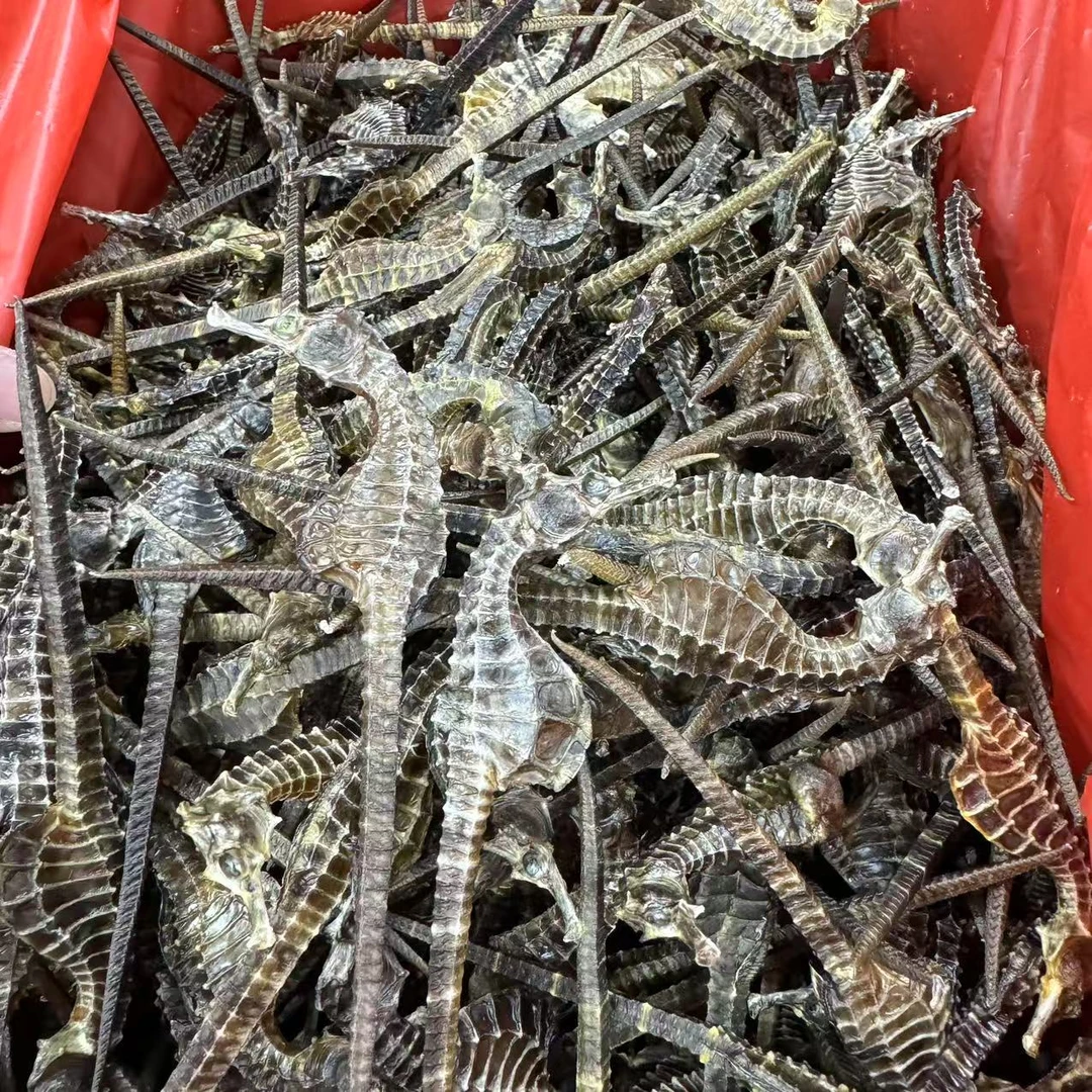 【顺德拉叔臻品】精选马仔 （百干）