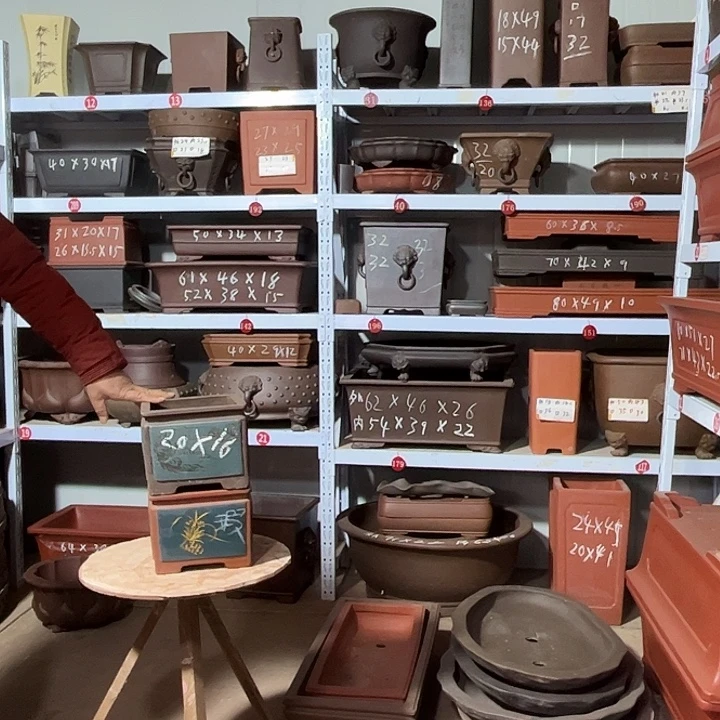 紫砂花盆mmmmmmmm