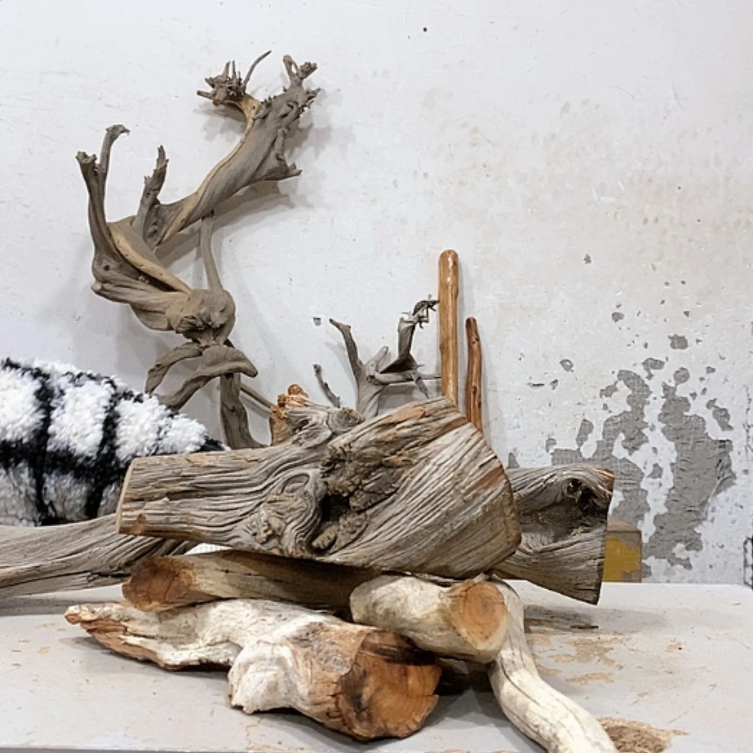 【闪购商品】柏木小*我们都是好孩子