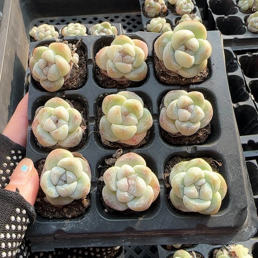 哈哈哈哈哈哈哈哈哈哈