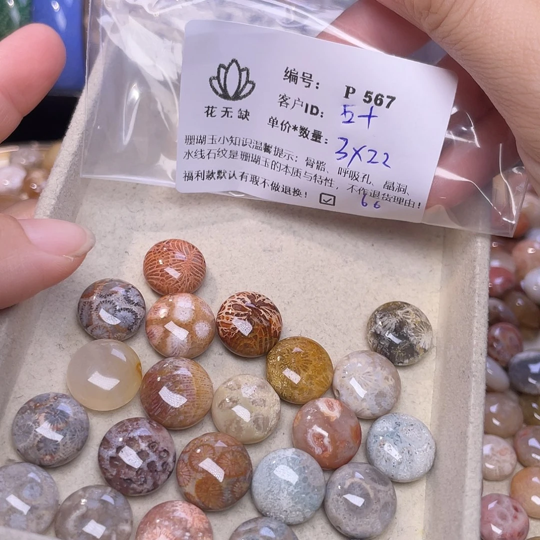 五***鱼未镶嵌手镯硅化玉
