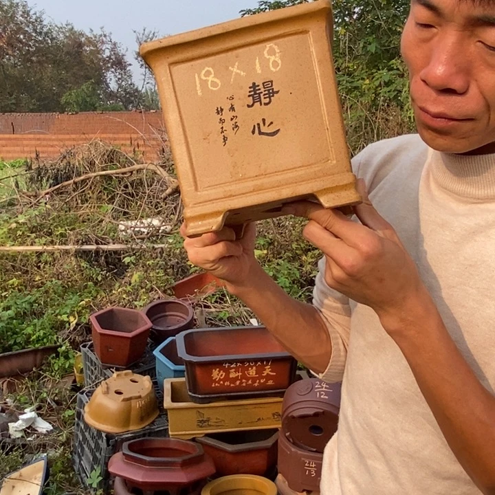 花盆紫砂紫砂艺术学院的学生