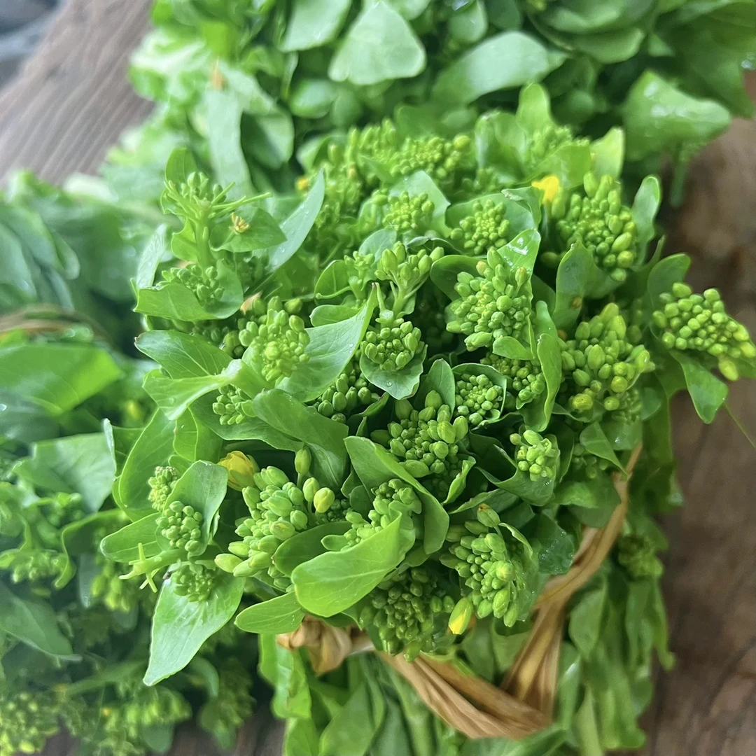 新鲜好吃青甜白菜苔