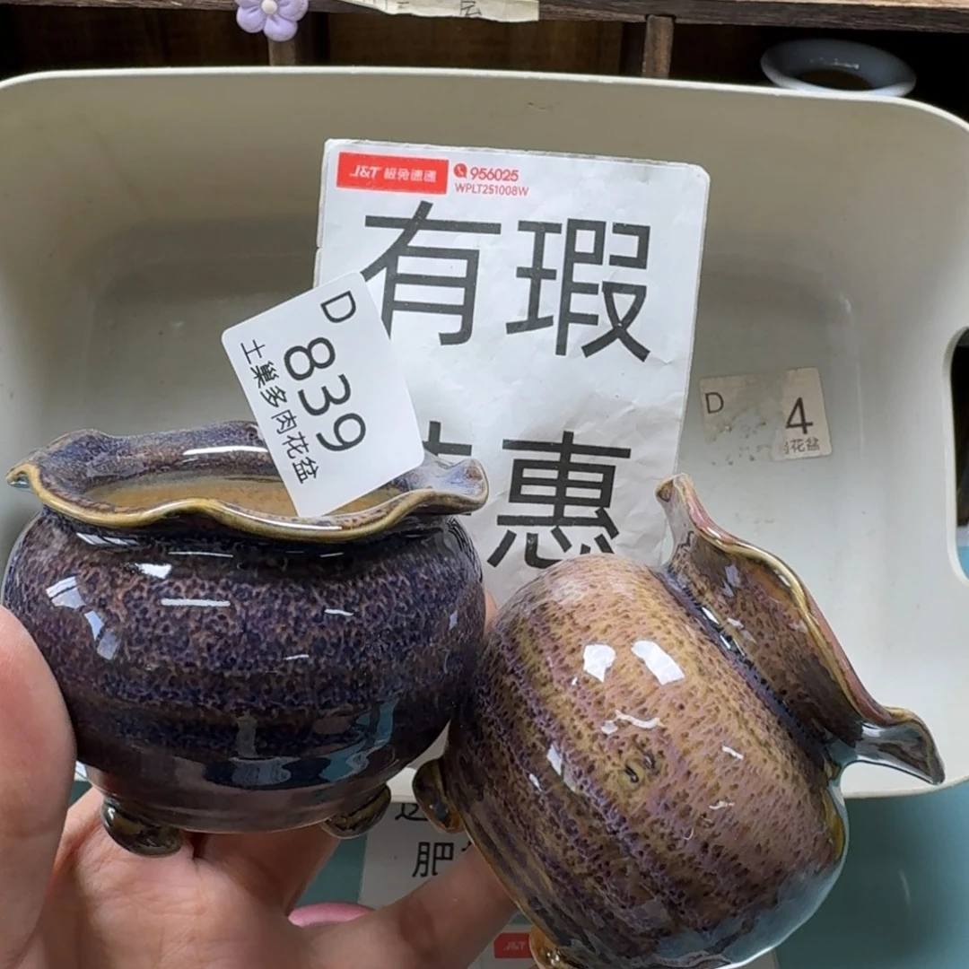 陶瓷艺术品设计与制作
