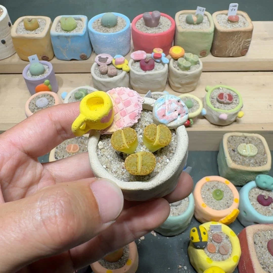 红陶黑***妮蘑菇1248黄鸣玄