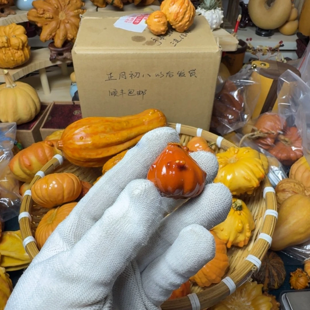 花*?特价葫芦不退不换