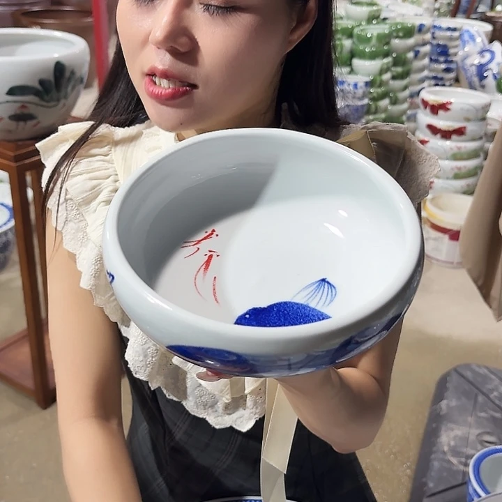 瓷片口径20厘米 高度6厘米